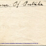 H.M.T. Empress of Australia Mess Card, July 1940, reverse.
Annotation:
Empress of Australia